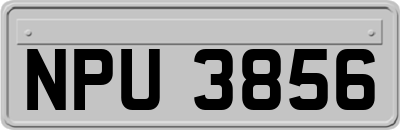NPU3856