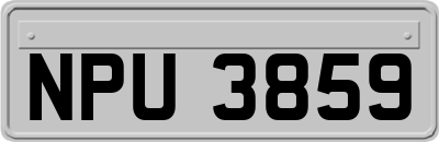 NPU3859