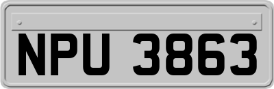 NPU3863