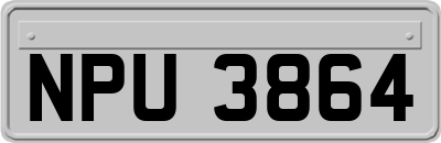 NPU3864
