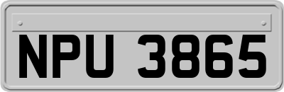 NPU3865