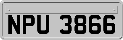 NPU3866