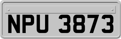 NPU3873
