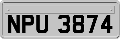 NPU3874