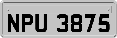 NPU3875