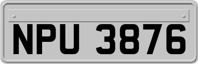NPU3876