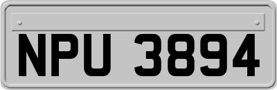 NPU3894