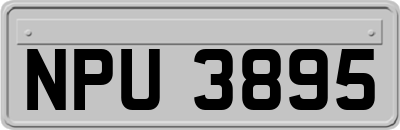 NPU3895
