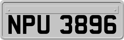 NPU3896