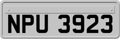 NPU3923