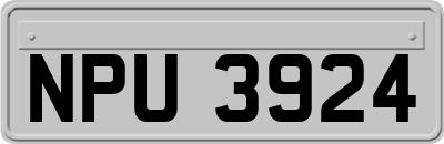 NPU3924