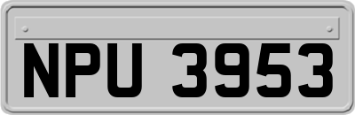 NPU3953