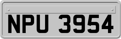 NPU3954