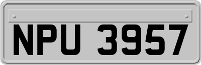 NPU3957