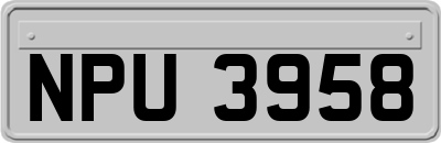 NPU3958