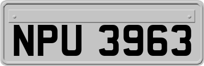 NPU3963