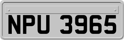 NPU3965