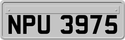 NPU3975