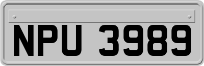 NPU3989