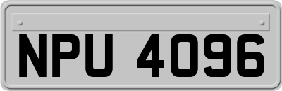 NPU4096