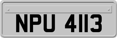 NPU4113