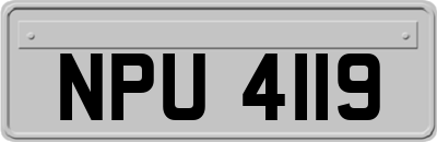 NPU4119