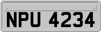 NPU4234