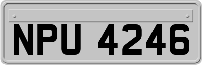 NPU4246