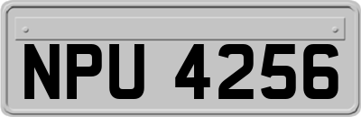 NPU4256