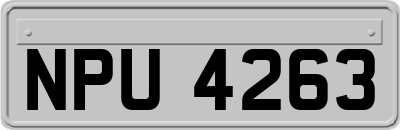 NPU4263