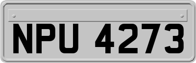 NPU4273