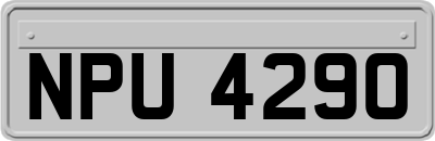 NPU4290
