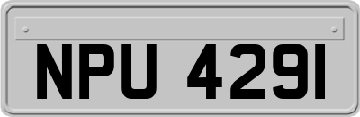 NPU4291