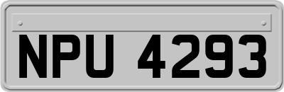 NPU4293