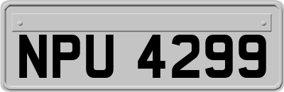 NPU4299