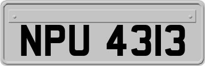 NPU4313