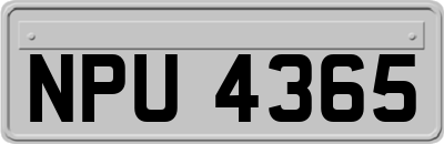 NPU4365