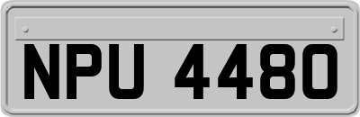 NPU4480