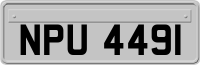 NPU4491