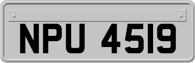 NPU4519