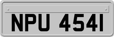 NPU4541
