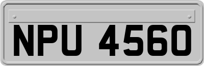 NPU4560