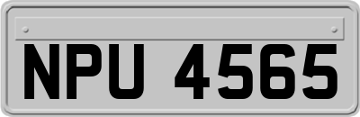 NPU4565