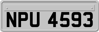 NPU4593