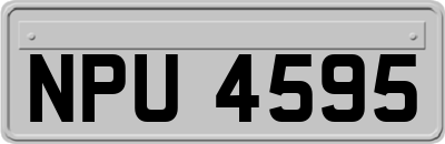 NPU4595