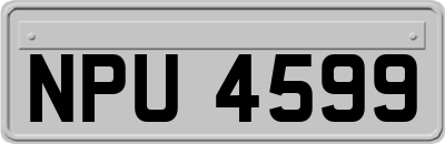 NPU4599