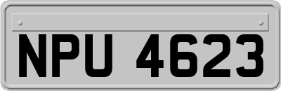 NPU4623