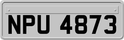 NPU4873