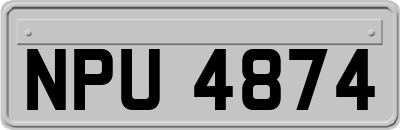 NPU4874