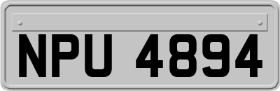 NPU4894